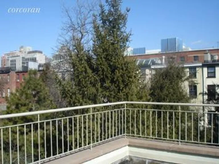 New York City Real Estate | View 149 Bergen Street, UD | Terrace | View 2