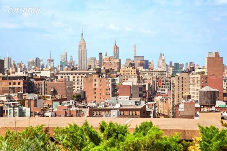 New York City Real Estate | View 129 Lafayette Street, PHA | View | View 10