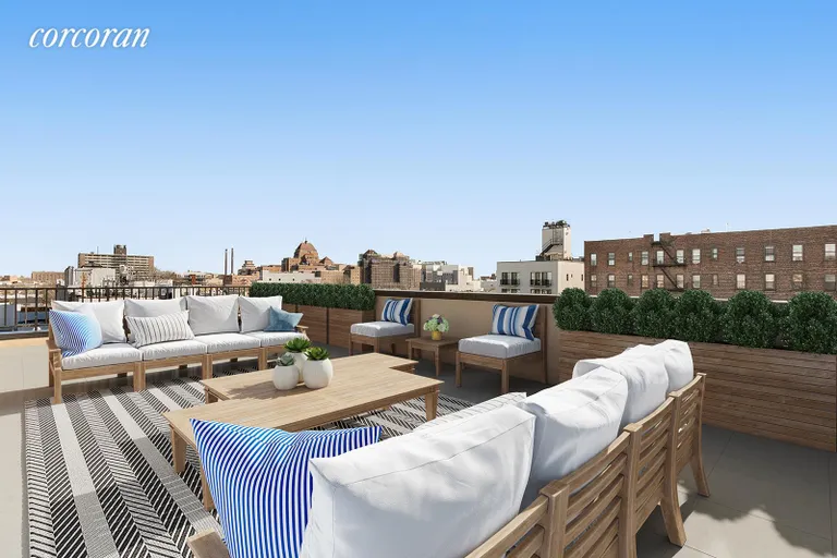New York City Real Estate | View 341 Fenimore Street, 2A | Roof Deck | View 8