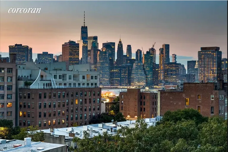 New York City Real Estate | View 492 Henry Street, 6D | Common Roof Deck View | View 7
