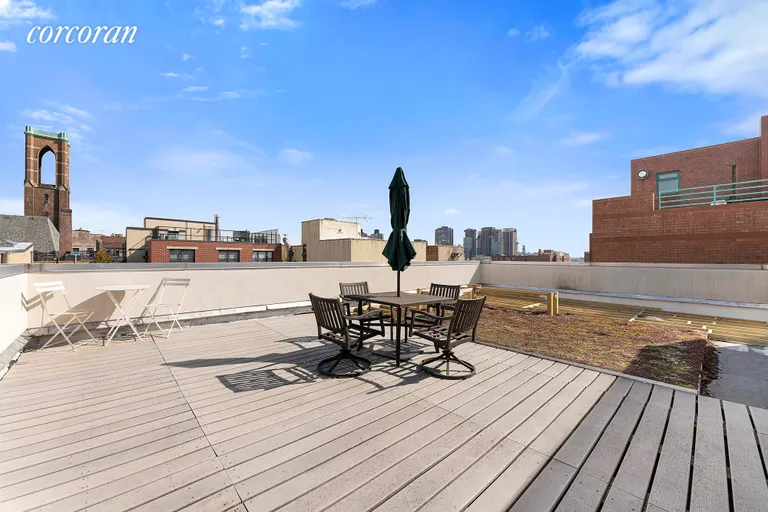 New York City Real Estate | View 51 East 128th Street, 1C | Roof Deck | View 10