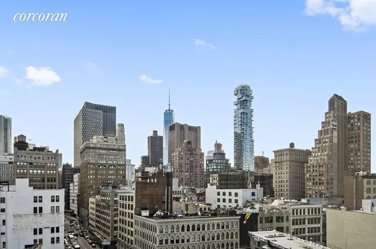 New York City Real Estate | View 129 Lafayette Street, 8C | View | View 9