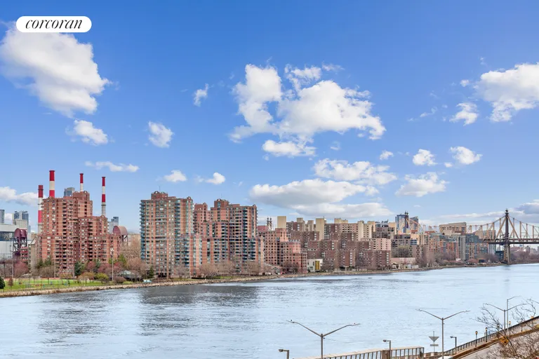 New York City Real Estate | View 45 East End Avenue, 4D | View | View 3