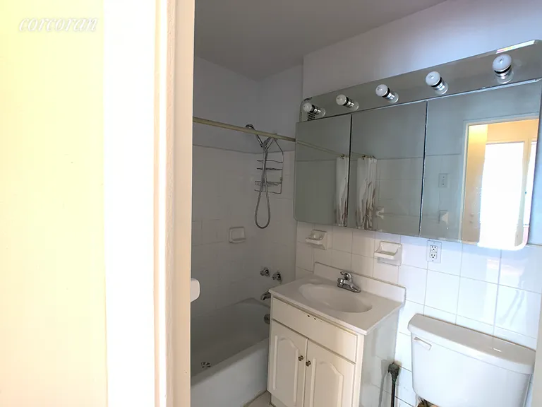 New York City Real Estate | View 85 Livingston Street, 2H | Primary Bathroom | View 4