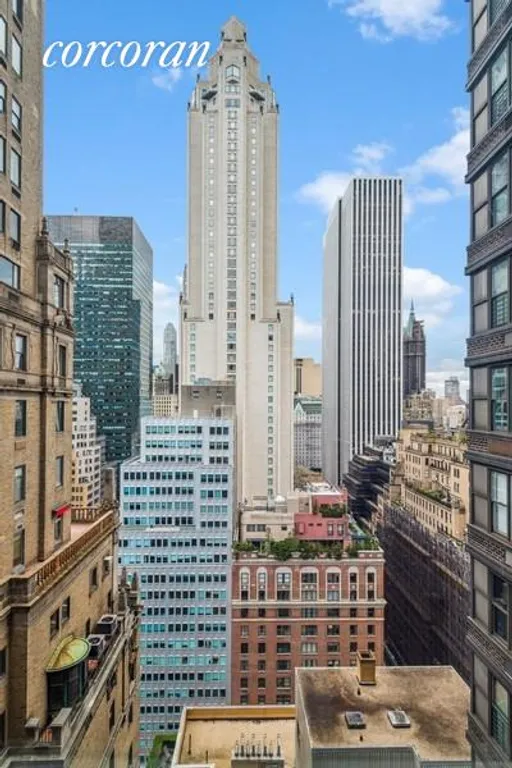 New York City Real Estate | View 115 East 57th Street, 28B | Western view | View 12