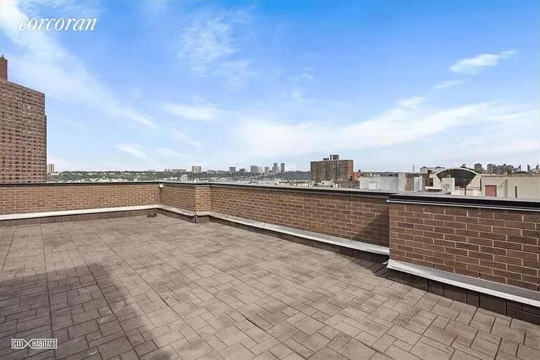 New York City Real Estate | View 517 West 134th Street, 6C | Roof Deck | View 4