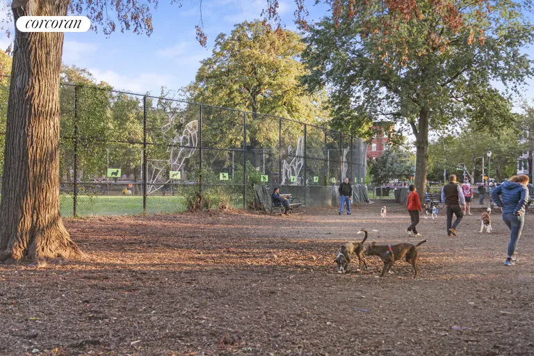 New York City Real Estate | View 116 Madison Street | Dog Park | View 15