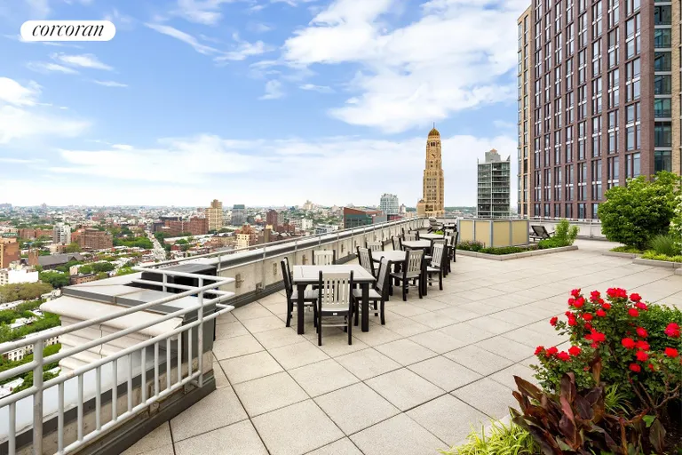 New York City Real Estate | View 230 Ashland Place, 12D | Roof Deck | View 11