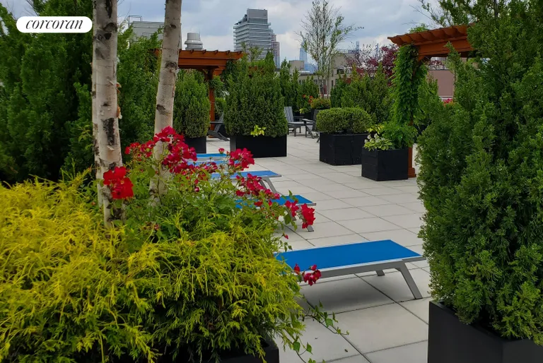 New York City Real Estate | View 214 North 11th Street, 2M | Roof Deck | View 7