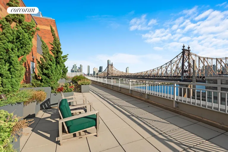 New York City Real Estate | View 425 Main Street, 9S | Roof Terrace with View of Bridge | View 10