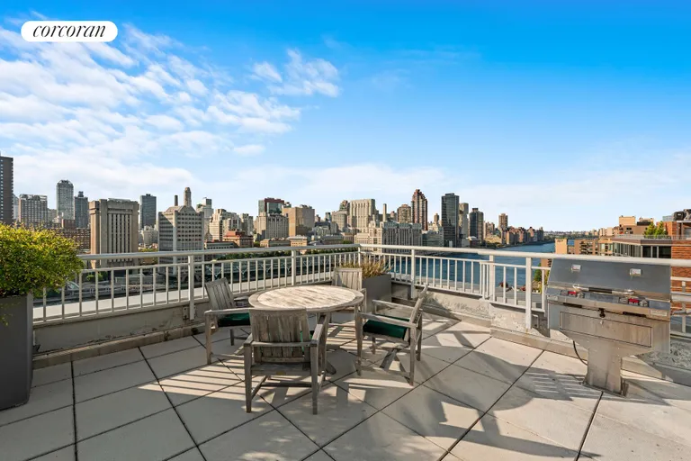 New York City Real Estate | View 425 Main Street, 9S | Roof Terrace with City View | View 11