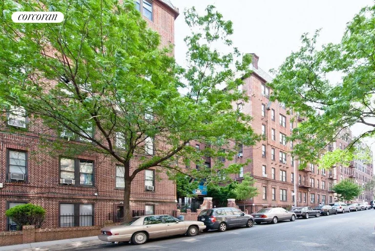 New York City Real Estate | View 446 Kingston Avenue, B31 | 1 Bed, 1 Bath | View 1