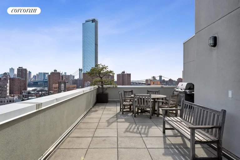 New York City Real Estate | View 7 Essex Street, 8B | Common Roofdeck | View 13