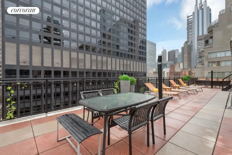 New York City Real Estate | View 209 East 56th Street, 4F | Roof Deck | View 5