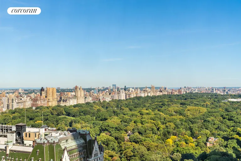 New York City Real Estate | View 721 Fifth Avenue, 40F | View | View 5