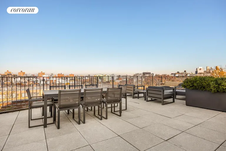 New York City Real Estate | View 280 Saint Marks Avenue, THH | Shared Roof Deck | View 13