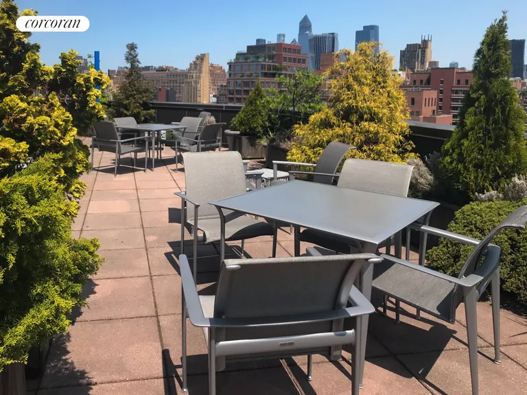 New York City Real Estate | View 33 Greenwich Avenue, 12F | Roof Deck | View 9
