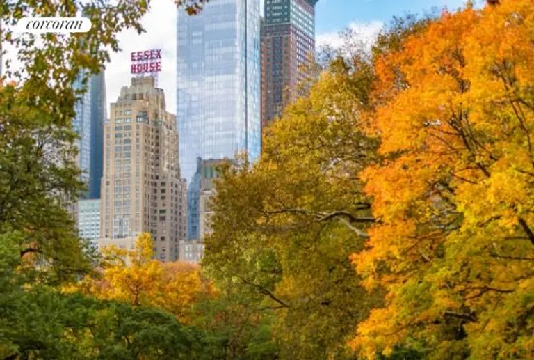 New York City Real Estate | View 160 Central Park South, 410 | Central Park | View 10
