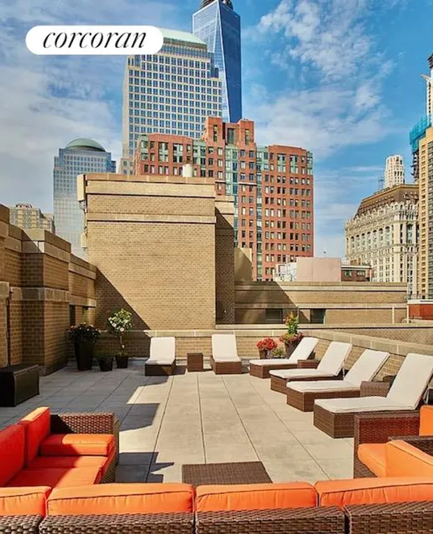New York City Real Estate | View 280 Rector Place, 3G | Roof Deck | View 7