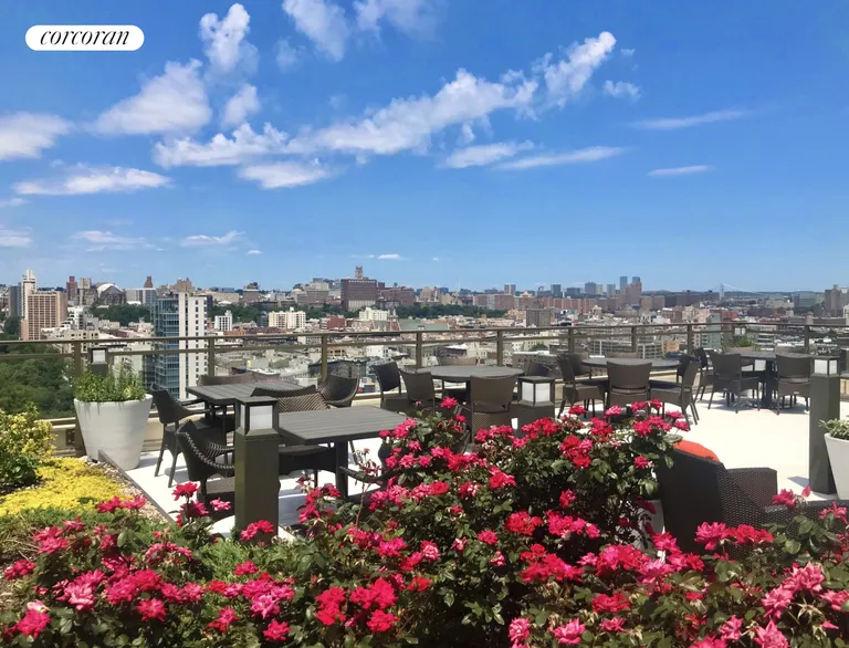 New York City Real Estate | View 1280 Fifth Avenue, 14D | Roof Deck | View 10