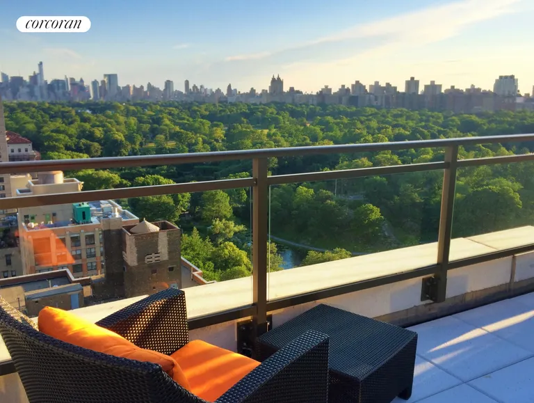 New York City Real Estate | View 1280 Fifth Avenue, 14D | Roof Deck | View 12