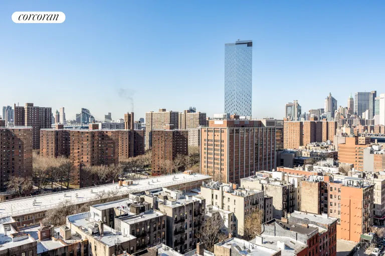 New York City Real Estate | View 264 East Broadway, C1607 | room 6 | View 7