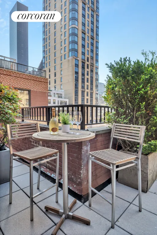New York City Real Estate | View 425 EAST 51ST STREET, PH10C | High Top on Terrace | View 9
