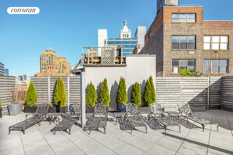 New York City Real Estate | View 115 Fourth Avenue, 3F | Roof Deck | View 12