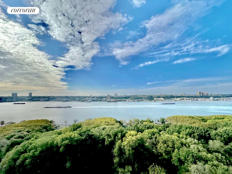 New York City Real Estate | View 340 Riverside Drive, 14B | View | View 8