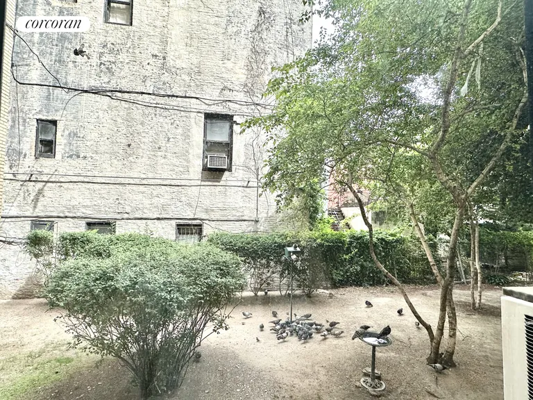 New York City Real Estate | View 100 Remsen Street, 1D | View | View 5
