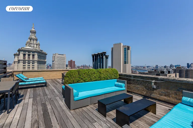 New York City Real Estate | View 150 Nassau Street, 18D | Roof Deck | View 8
