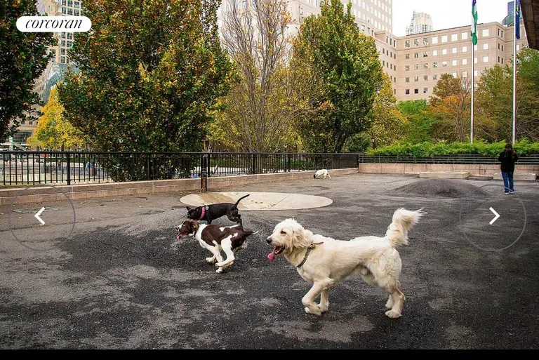 New York City Real Estate | View 250 South End Avenue, 2A | Dog Run | View 13
