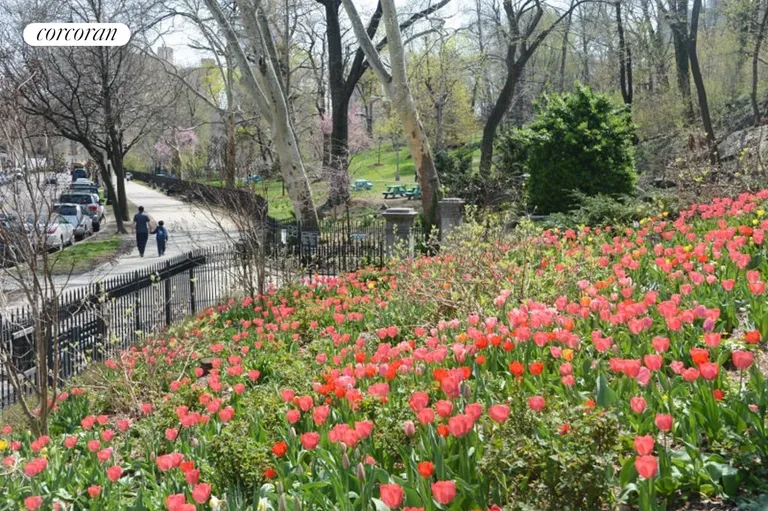 New York City Real Estate | View 316 West 116th Street, 1D | Morningside Park Tulips in Spring | View 22