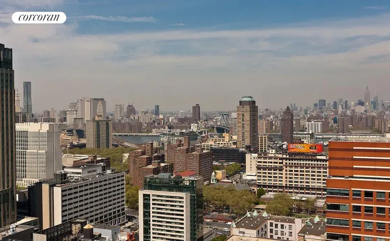 New York City Real Estate | View 365 Bridge Street, 13IJ | View | View 22