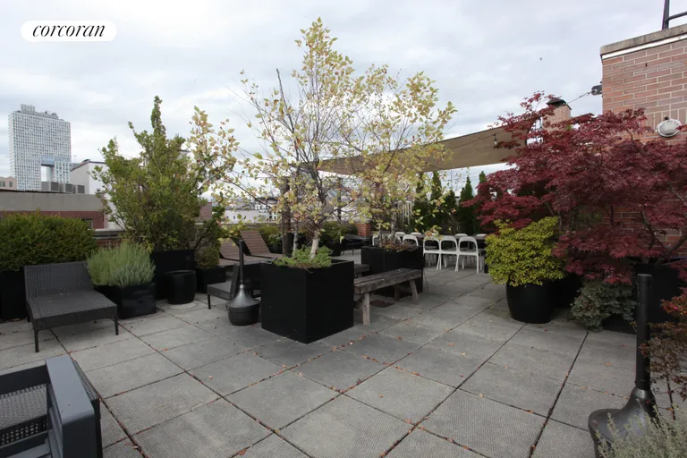 New York City Real Estate | View 150 South 1st Street, 3K | Roof Deck | View 10