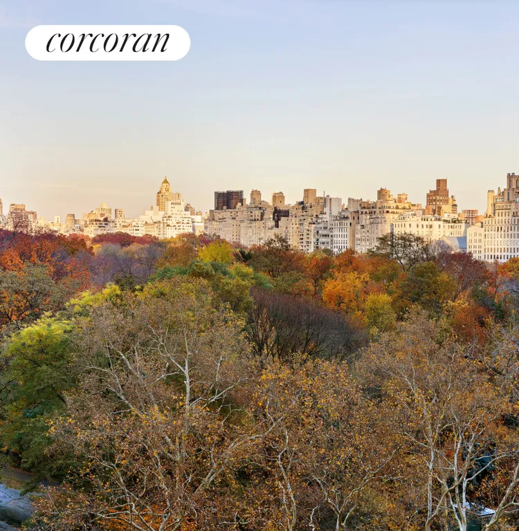 New York City Real Estate | View 110 Central Park South, 8B | room 4 | View 5