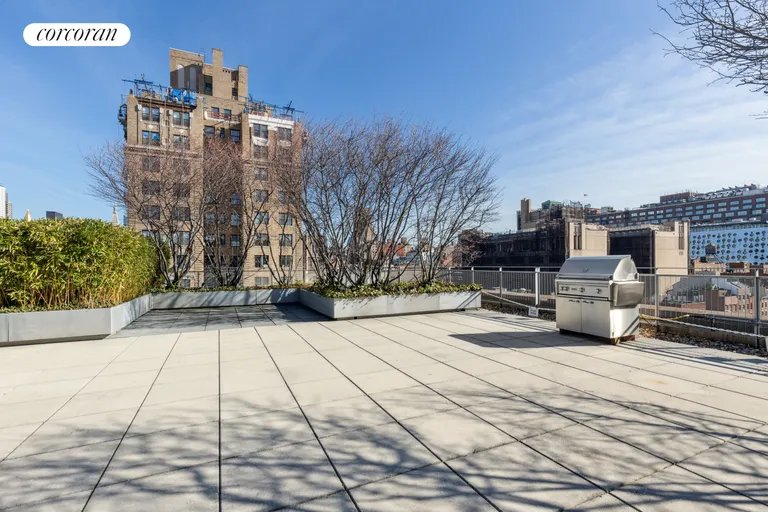 New York City Real Estate | View 177 Ninth Avenue, 5E | Roof Deck | View 14