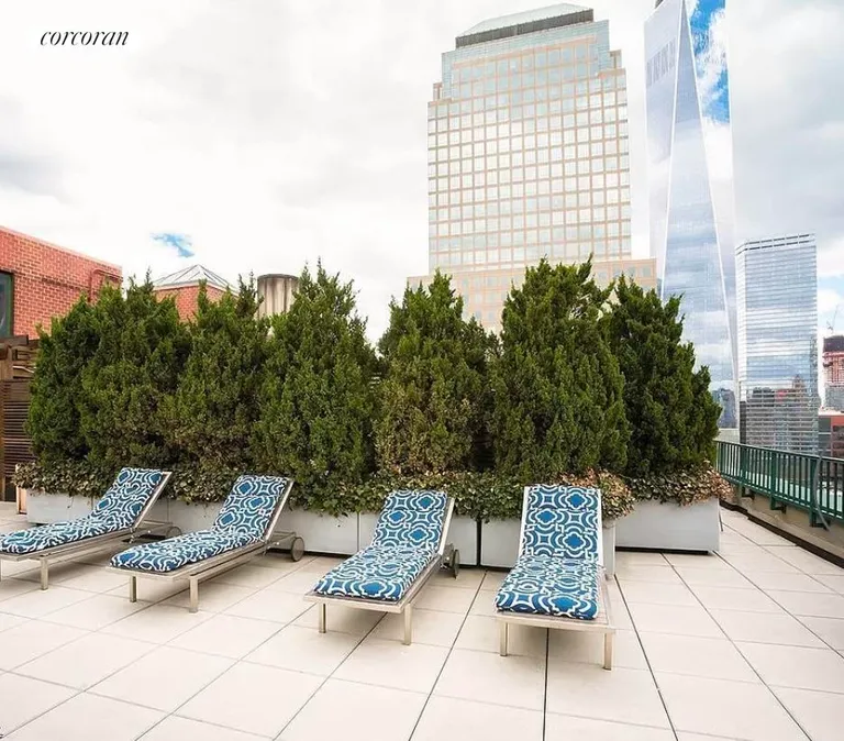 New York City Real Estate | View 225 Rector Place, 3F | Roof Deck | View 9