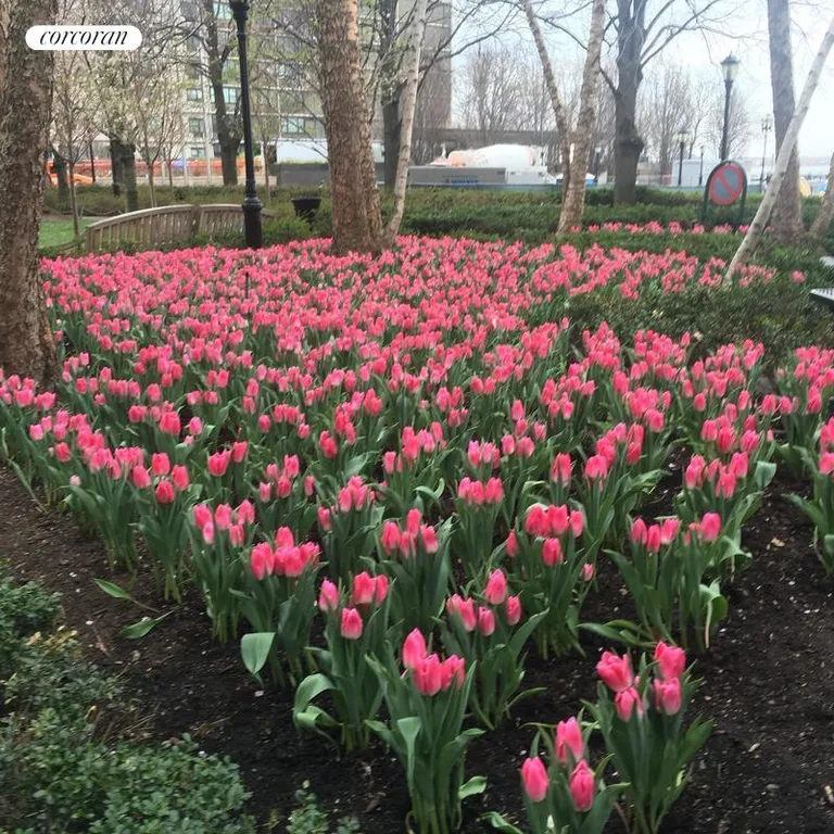 New York City Real Estate | View 250 South End Avenue, 7H | Spring Tulips | View 11