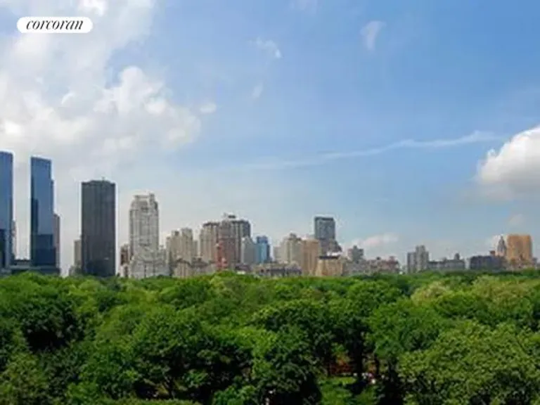 New York City Real Estate | View 785 Fifth Avenue, 9B | Central Park View | View 3
