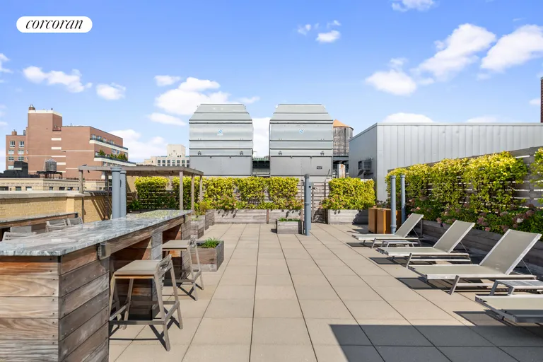 New York City Real Estate | View 215 West 88th Street, 11AB | Roof Deck | View 15