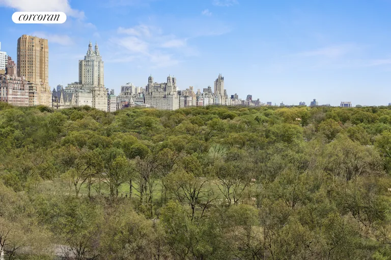 New York City Real Estate | View 160 Central Park South, 1115A | central park view from apt | View 9