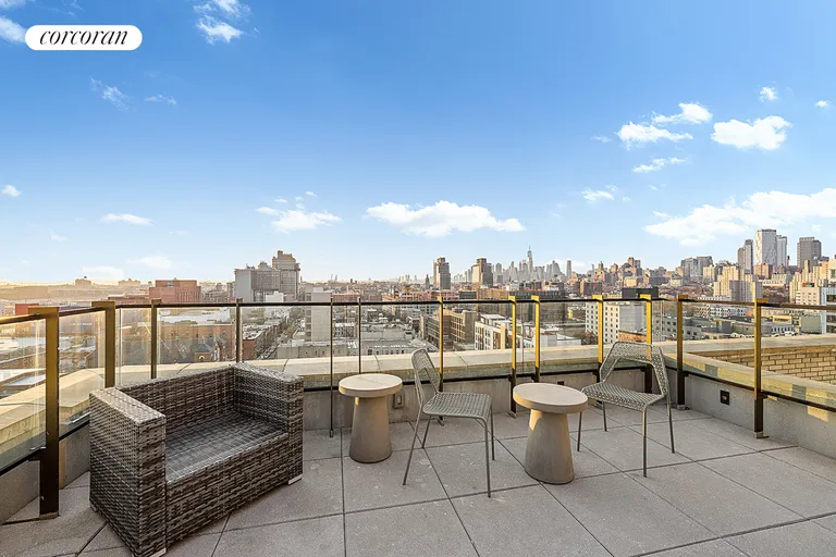 New York City Real Estate | View 243 4th Avenue, 6A | Roof Deck | View 13