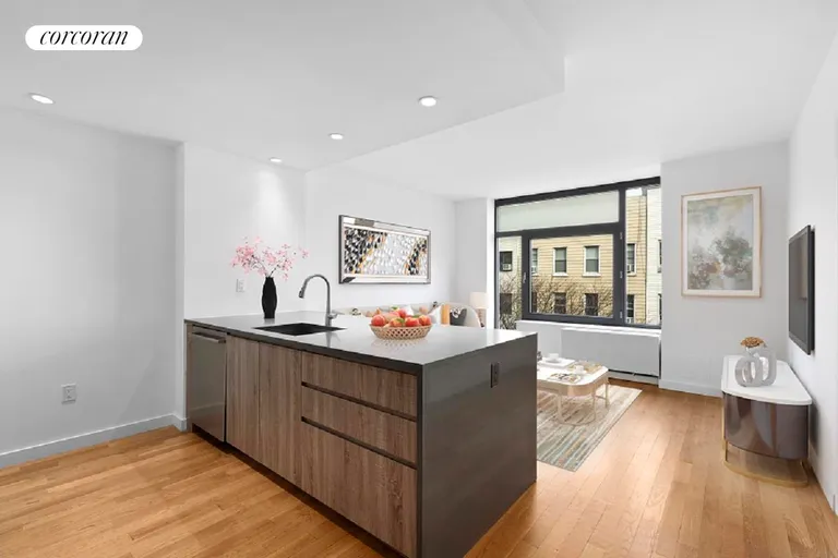New York City Real Estate | View 247 North 7th Street, 2_307 | 1 Bed, 1 Bath | View 1