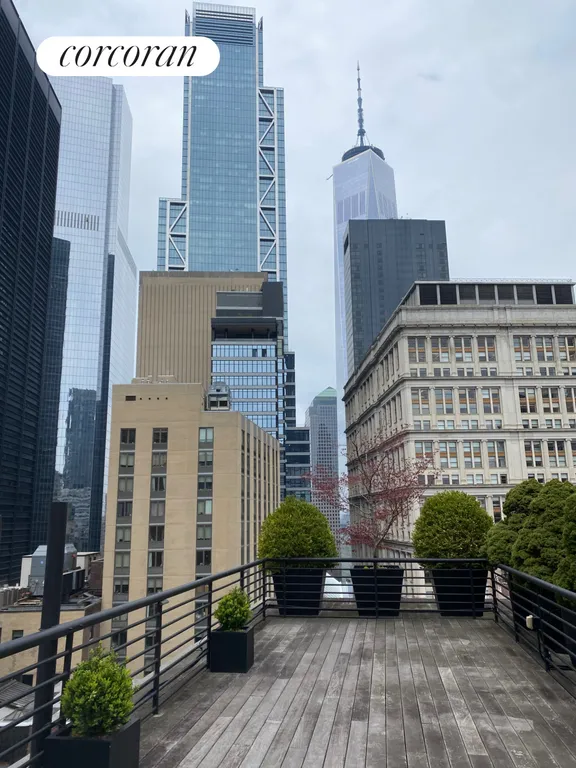 New York City Real Estate | View 71 Nassau Street, PHB | Roof Deck | View 8