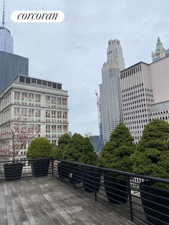 New York City Real Estate | View 71 Nassau Street, PHB | Roof Deck | View 10