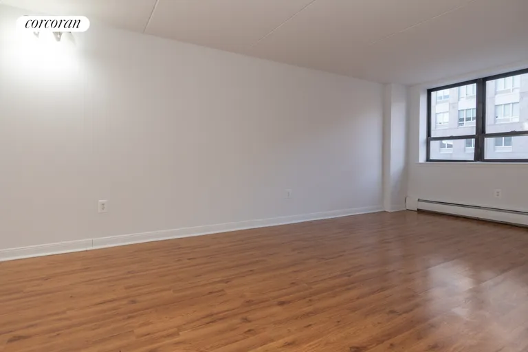 New York City Real Estate | View 220 Manhattan Avenue, 4L | Living Room | View 11