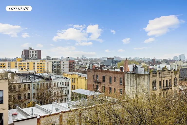 New York City Real Estate | View 707 Willoughby Avenue, 6A | View | View 8