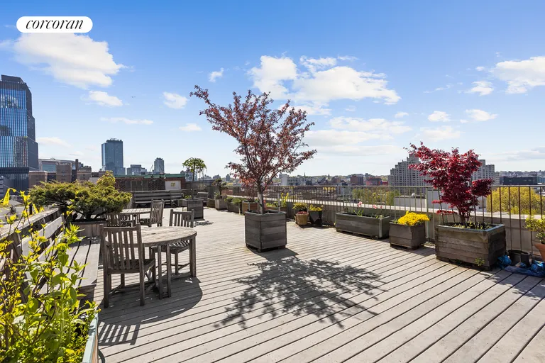 New York City Real Estate | View 423 Atlantic Avenue, 3C | Roof Deck | View 8