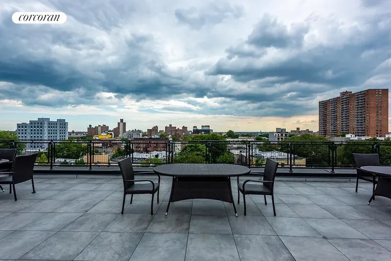 New York City Real Estate | View 1325 Herkimer Street, 302 | room 8 | View 9